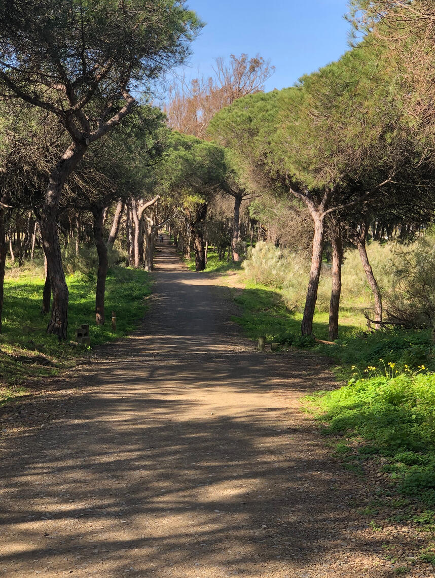 Naturaleza