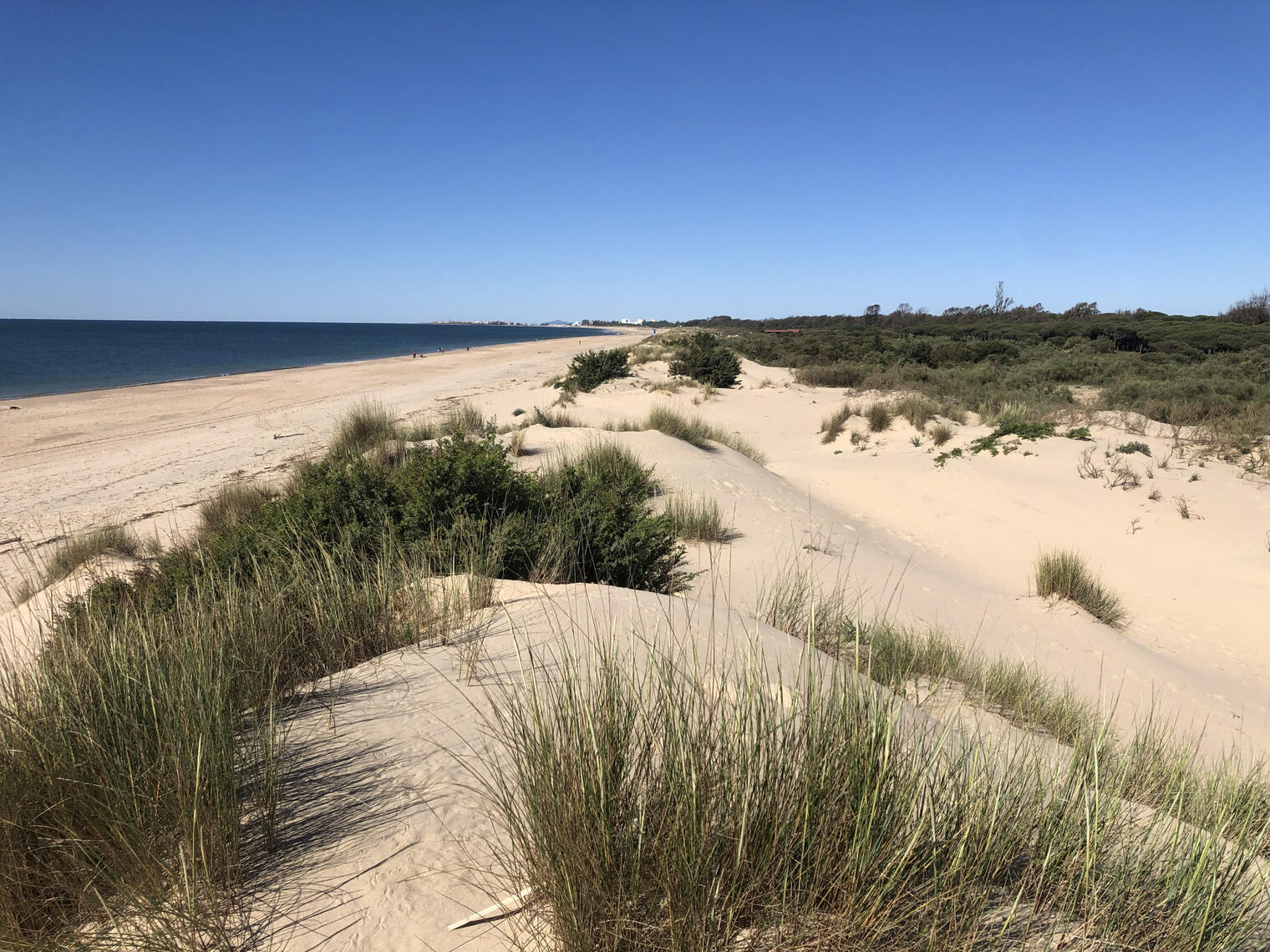 Dunas de Isla Cristina (5min pie)